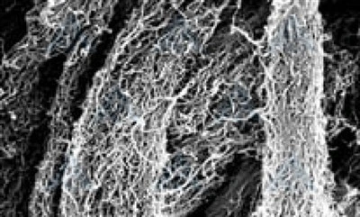 Carbon Nanotube Lithium Battery Conductive Agent