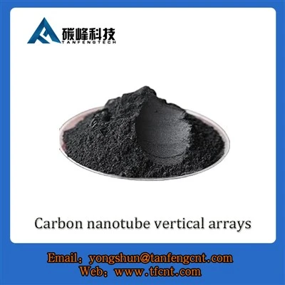 Carbon Nanotube Vertical Arrays