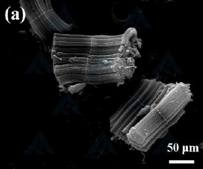Multi-walled Carbon Nanotube Arrays
